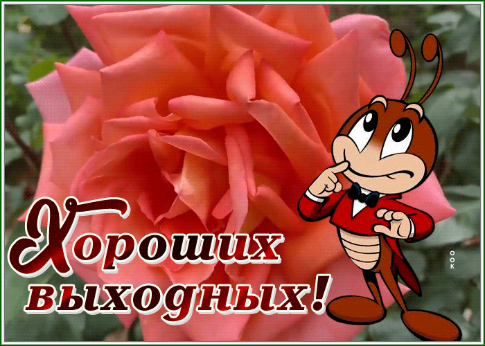 Postcard хороших выходных