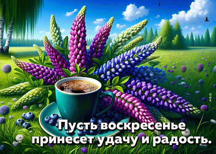 Postcard ярчайшая гиф-открытка, пусть воскресенье принесет удачу
