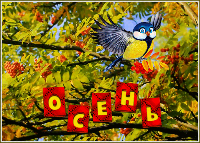 Picture яркая картинка с осенью и птичкой