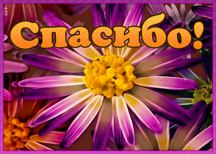 Открытка яркая картинка спасибо