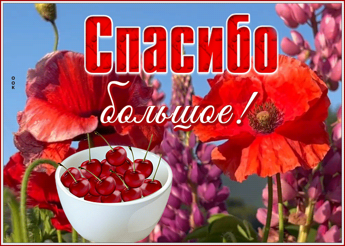 Picture яркая открытка большое спасибо