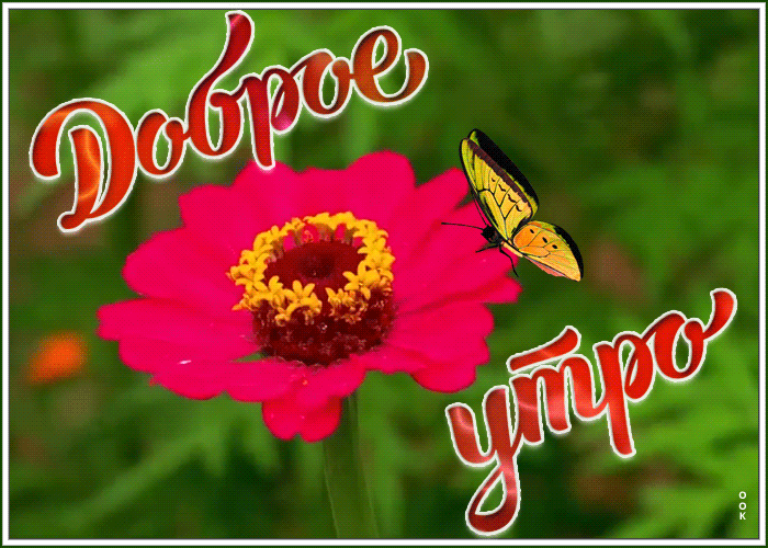 Открытка яркая открытка доброе утро