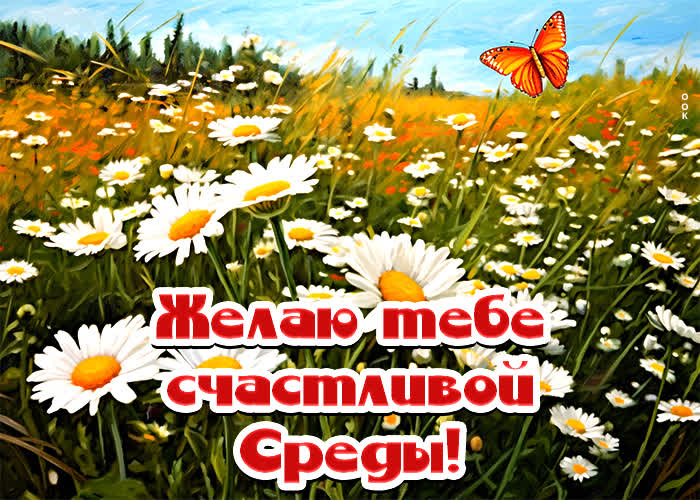 Postcard яркая открытка, пусть среда будет счастливой