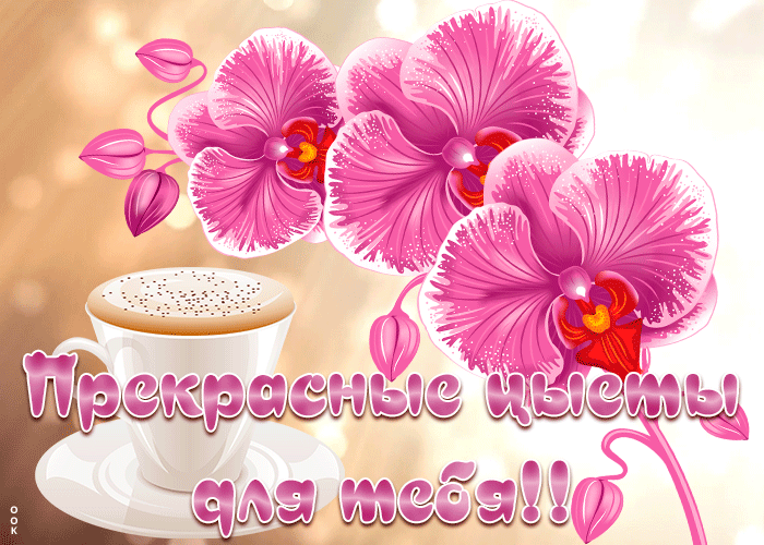 Открытка яркая открытка с орхидеями