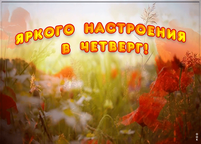 Картинка яркого настроения в четверг
