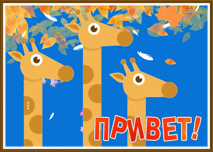 Picture забавная картинка привет с осенью