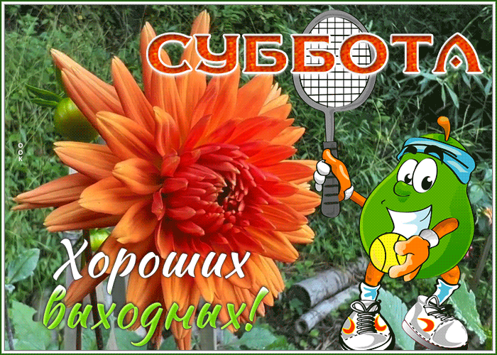 Picture забавная открытка с субботой - хороших выходных