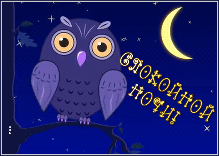 Открытка забавная открытка спокойной ночи
