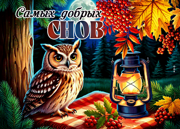 Picture задорная гиф-открытка, самых добрых снов