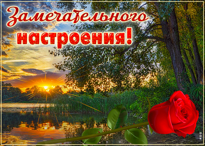 Picture задорная гиф-открытка, замечательного настроения тебе