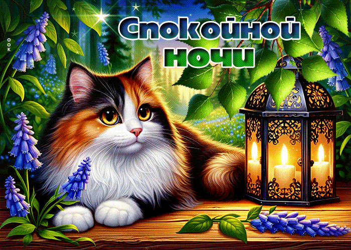 Picture задушевная гиф-открытка, спокойной летней ночи