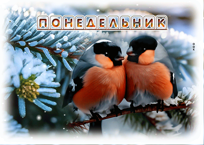 Picture замечательная гиф-открытка со снегирями, понедельник