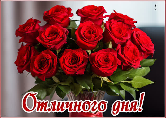Picture замечательная картинка отличного дня