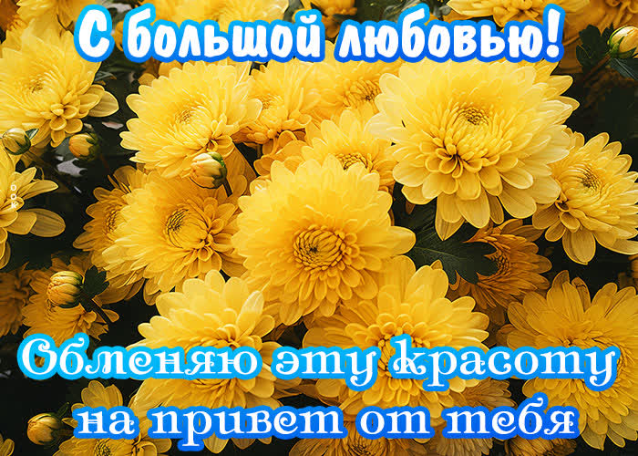Postcard замечательная картинка с большой любовью