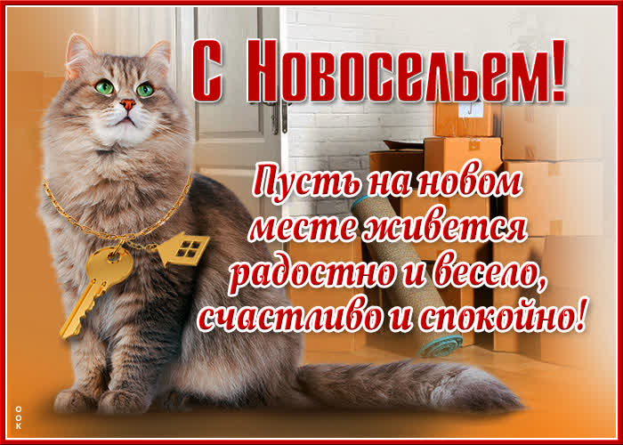 Картинка замечательная картинка с новосельем