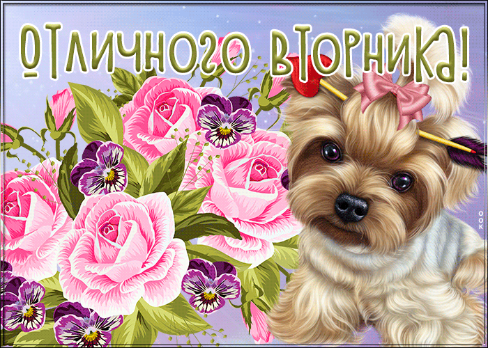 Открытка замечательная открытка с вторником