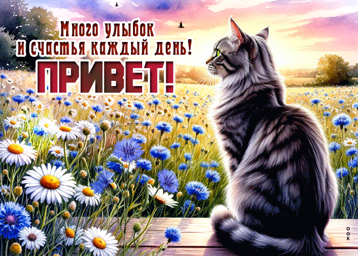 Postcard заметная гиф-открытка, много улыбок тебе и привет