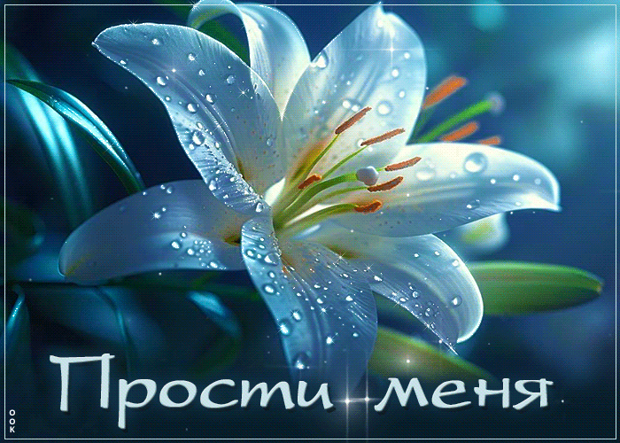 Picture завораживающая гиф-открытка прости меня