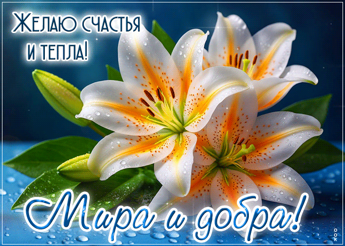 Postcard желаю счастья и тепла! мира и добра