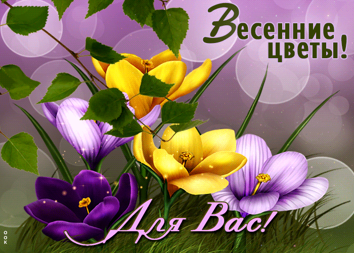 Postcard жемчужная гиф-открытка, весенние цветы для вас