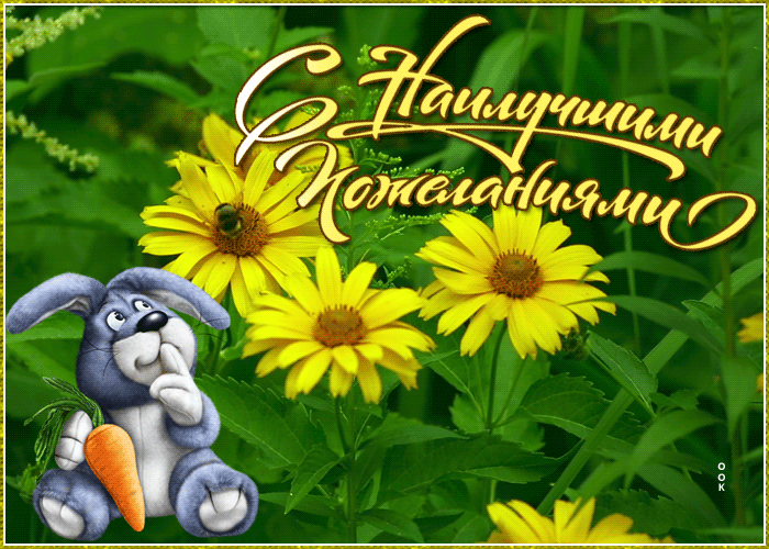 Открытка желаю счастья тебе каждый день