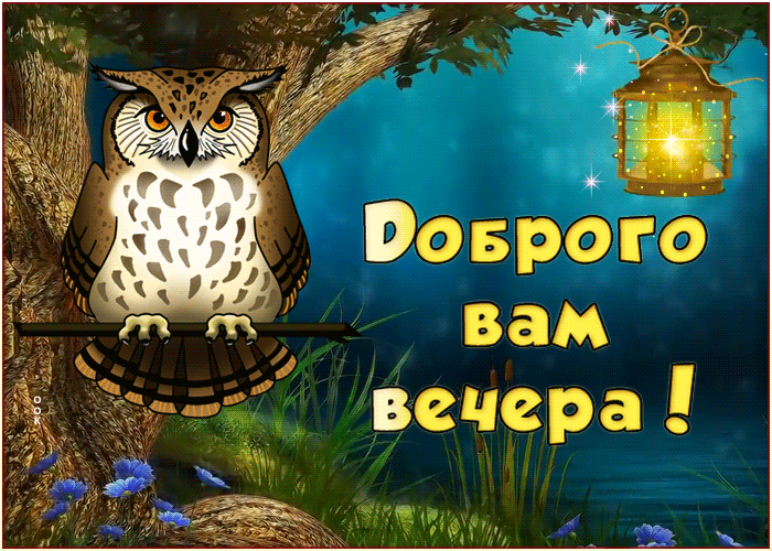 Открытка живая открытка добрый вечер