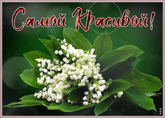 Картинка живая открытка с ландышами