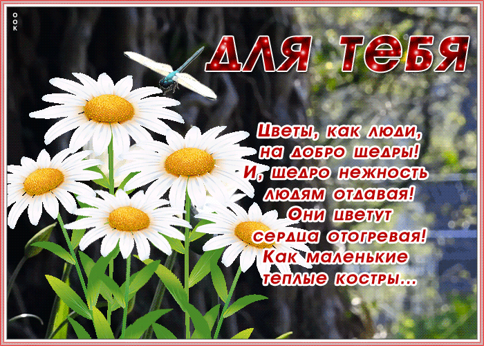 Открытка живая открытка с цветами