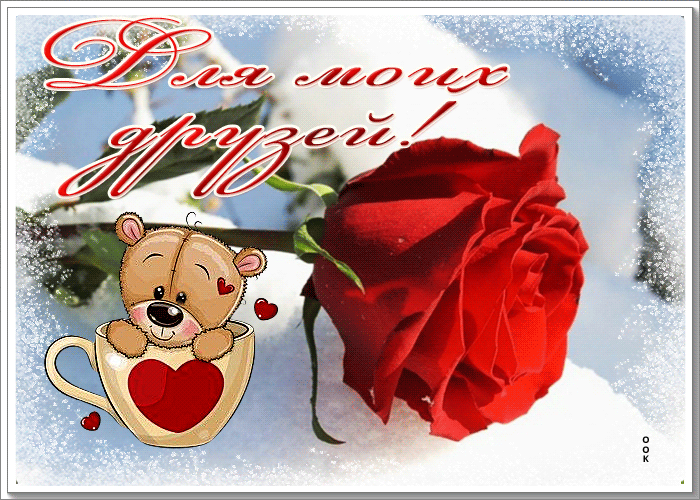 Postcard живая открытка для моих друзей с алой розой