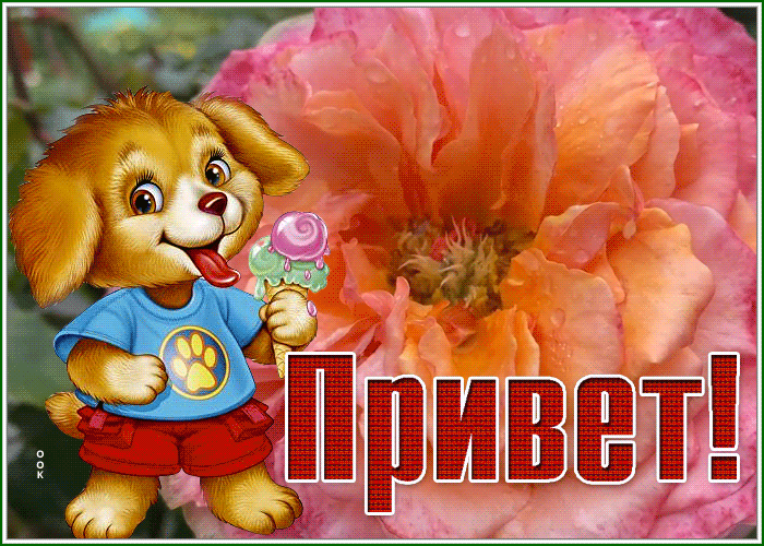 Picture живая открытка привет с собачкой