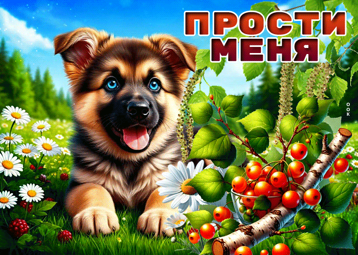 Postcard жизнерадостная гиф-открытка, прости меня за все