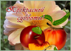 Postcard 1
