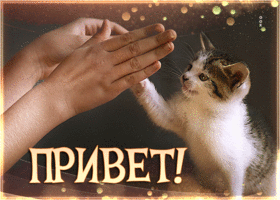 Postcard 1