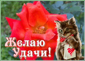 Postcard 1