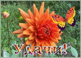 Postcard 1