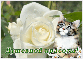 Postcard 1