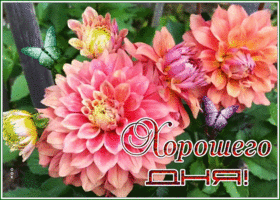 Postcard 1
