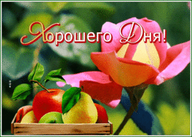 Postcard 1
