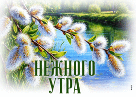 Picture абстрактная гиф-открытка, нежного утра