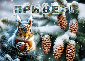 Postcard аккуратная гиф-открытка, зимний добрый привет