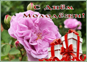 Postcard анимационная открытка день молодежи