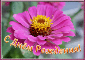 Открытка анимационная картинка с днем рождения девушке