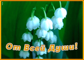 Картинка анимационная картинка с ландышами