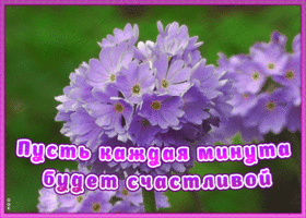 Картинка анимационная картинка с пожеланием