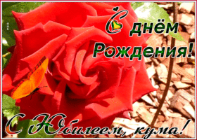 Картинка анимационная картинка с юбилеем куме
