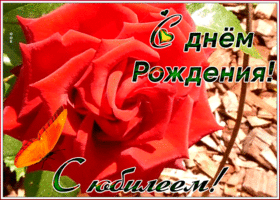 Картинка анимационная картинка с юбилеем женщине