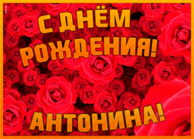 Картинка анимационная открытка с днем рождения антонине