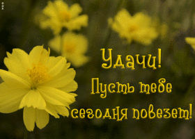 Открытка анимационная открытка удачи