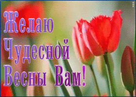 Открытка анимация чудесной вам весны