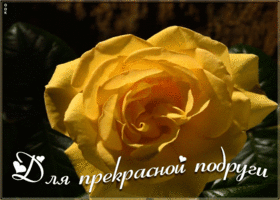 Открытка анимация для прекрасной подруги